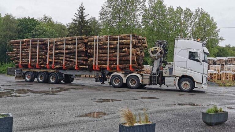 Camion de bois en grume – Hêtre, Chêne, Charme – 50 stères